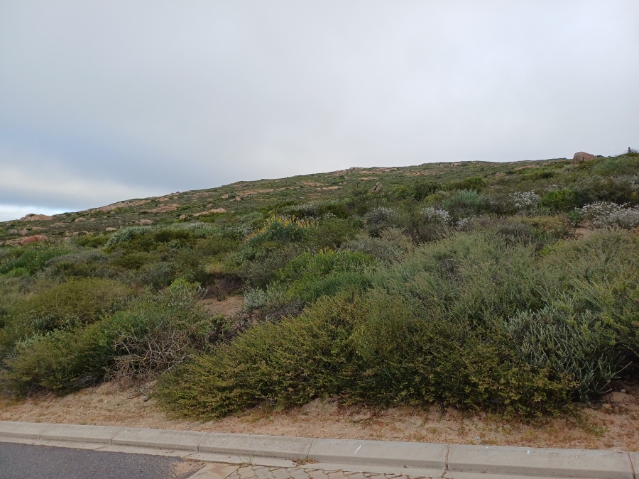 0 Bedroom Property for Sale in St Helena Views Western Cape